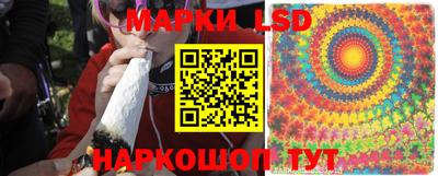 ALPHA PVP Бийск