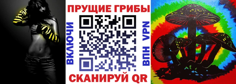 Псилоцибиновые грибы мицелий  закладки  Борзя 