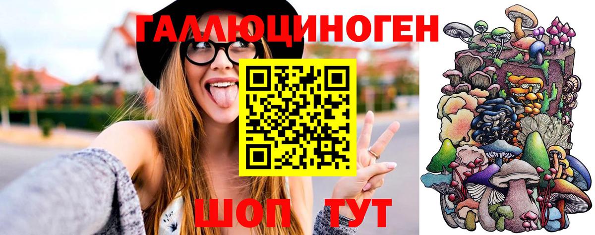 Борзя  Галлюциногенные грибы мухоморы  наркотики  Вход с VPN  Псилоцибиновые грибы Psilocybine cubensis 