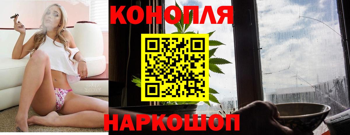 Конопля конопля  Борзя  Шишки марихуана сатива  Марихуана Ganja 